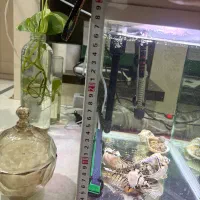 آکواریوم|ماهی|سبزوار, فرهنگیان|دیوار