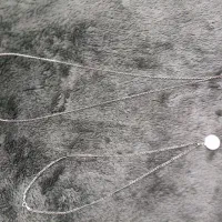 فروش نقره عیار 925استرلینگ|جواهرات|شیراز, سلطان آباد|دیوار