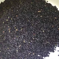 فروش بذر ریحان سبز درجه یک ممتاز کیلویی ۱۳۰ تومان