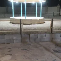 باشگاه سوارکاری