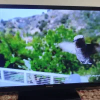 ال ای دی ۴۳ایکس ویژن