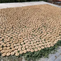 ترخینه بادوغ محلی روغن حیوانی