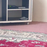تلویزیون