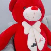 فروش خرس بزرگ فضای کم