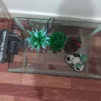 آکواریوم و تمام وسایل درون آکواریوم