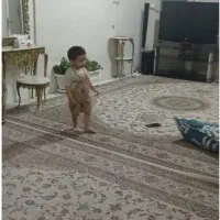 مستقلات-80متری