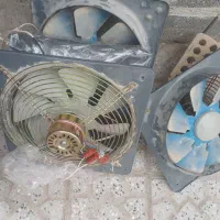 فن مارک دمنده