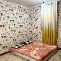 خونه تمیز با تمام امکانات|اجارهٔ کوتاه‌مدت آپارتمان و سوئیت|بندر گناوه, |دیوار