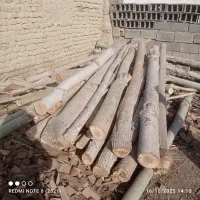 خرید چوب باغات بالاترین قیمت