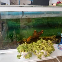 آکواریوم بزرگ