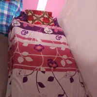 تخت