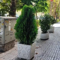 گرین دکتر.صفرتاصد فضای سبز شما با گرین دکتر|گل و گیاه طبیعی|تهران, آجودانیه|دیوار