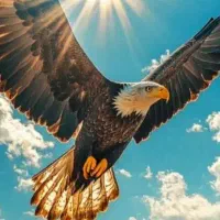 نیاز به یک کار دارم فوری