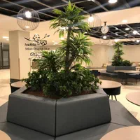 پاچیرا مصنوعی/ تزئینات گیاهی باکس های ترمینال|گل مصنوعی|تهران, آهنگ|دیوار