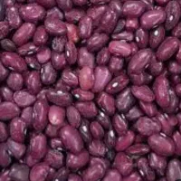 لوبیا قرمز بوجاری شده تمیز ۱۴۰۴