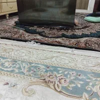 تلوزیون ۴۳ اسنوا هوسمند