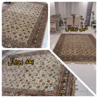 مبلشویی تخصصی رویال سنندج|خدمات نظافت|سنندج, |دیوار