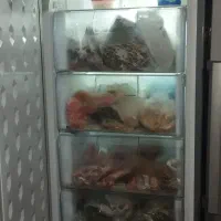 یخچال دوقلو سامسونگ|یخچال و فریزر|قرچک, زیبا شهر|دیوار