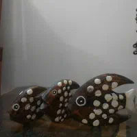 تزیینی و دکوری