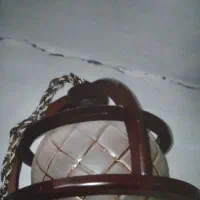 لوستر‌تک‌شاخ