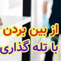 تله موش چسب طئمه ویروسی سمپاشی اختصاصی
