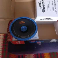 باند مارک چیتا