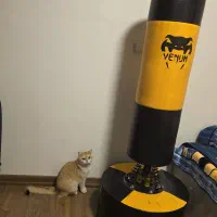 کیسه بوکس ایستاده