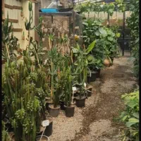 استخدام نیروی کار در گلخونه|استخدام صنعتی، فنی، مهندسی|تهران, عبدلآباد|دیوار