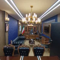 بازاریاب حرفه ای