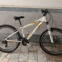 دوچرخه ویوا اصل 26