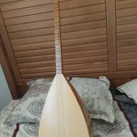 باغلاما هناره|سازهای سنتی|سقز, |دیوار