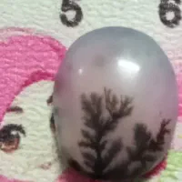 سنگ شجر|جواهرات|زنجان, |دیوار