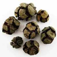 خرید میوه سرو