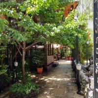 تور دوستانه باغ ، غرب تهران، موزیک زنده