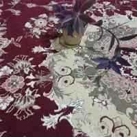 گل داما سایه بنفش