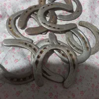 نعل اسب