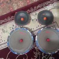 2 جفت میدرنج صحیح و سالم در حد نو