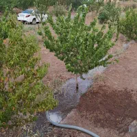 ابرسانی با تانکر۱۰ و۱۲ هزارتایی