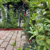 فروش ۲۵۰ متر زمین با ۱۵ متر در سیسرا