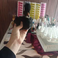 فروش جوجه|حیوانات مزرعه|لنگرود, |دیوار