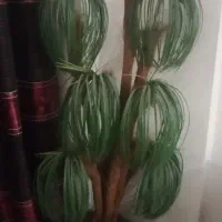 دو عدد نخل مصنوعی با گلدان