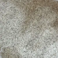 برنج محسن ۱۰ کیلویی پاکستانی|خوردنی و آشامیدنی|تهران, جوادیه تهرانپارس|دیوار