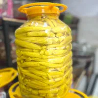 سیر صدفی و گل سیر|خوردنی و آشامیدنی|قم, لسانی|دیوار
