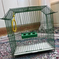 قفس نو تخفیف خم دارد