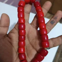 فروش مرجان کهنه دونه 40هزار