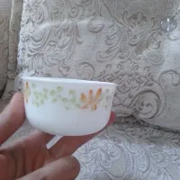 کاسه ترشی ارکوپال و قاشق