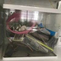 اکواریوم