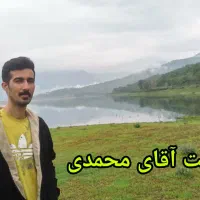 مبل شویی خاص محمدی صدرصد تضمینی وتخصصی استان قم|خدمات نظافت|قم, سالاریه|دیوار
