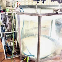 یخچال سه در بزرگ همراه دوعدد اکواریوم ماهی قزل|فروشگاه و مغازه|بانه, |دیوار