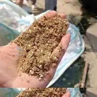 فروش جوجه راس و‌جوجه محلی و اردک مستقیم از کارخانه|حیوانات مزرعه|آمل, |دیوار